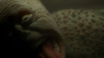 The Eel