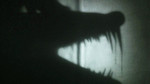 Shadowplay