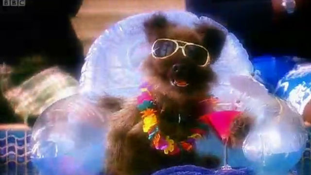 Hacker T Dog, the coolest canine, stars in his very own pop video, 