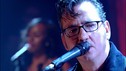 Richard Hawley - Down In The Woods