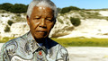 Primary History - Black History: Mandela