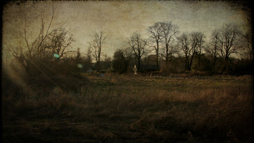 The Wind in the Willows: The Open Road