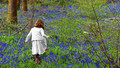 Just William - Live!: The Sweet Little Girl in White