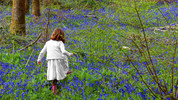 Just William - Live!: The Sweet Little Girl in White