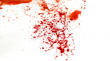 Blood Lines: Expecting