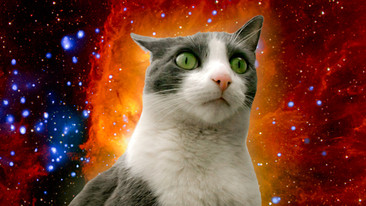 Seymour the Fractal Cat: Phase Space
