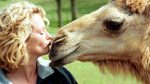Animal Park: Series 7: 30 minute reversions: Episode 13