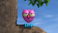 The Owl: Monkey Musician