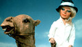 All About Thunderbirds: Wed, 02 Jan 2008