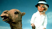All About Thunderbirds: All About Thunderbirds