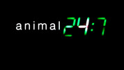 Animal 24:7: Episode 11