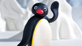 The Pingu Show: Present and Boogaloo