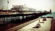 2. Love Lessons from Cephalopods: Pier Shorts