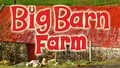 Big Barn Farm: 16. Hide and Seek