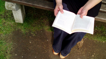 Afternoon Reading: The Hair of the Dog
