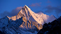 The Essay - Nature in China: 3. Wild Mountain - Beginnings