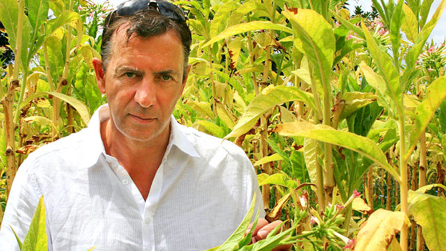 This World: Bannatyne Takes on Big Tobacco