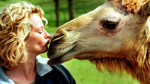 Animal Park: Series 8: 30 minute reversions: Episode 2