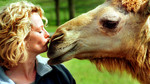 Animal Park: Series 8: 30 minute reversions: Episode 3