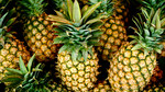 Lady Curzon and a Pineapple