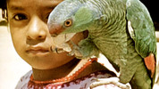 The Thirties in Colour: 3. Adventures in the Americas