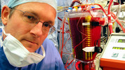 Blood and Guts: A History of Surgery: 2. Bleeding Hearts