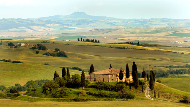 The Italian Patient