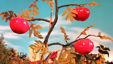 Big and Small: Series 1: Smashing Tomatoes