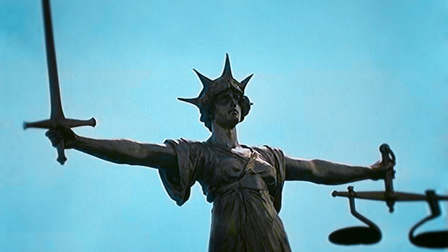 Law in Action: 11/11/2008