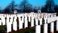 Memorials to the Missing: Tue, 11 Nov 2008