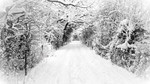 Strange Weather Days: Series 2: The Big Freeze