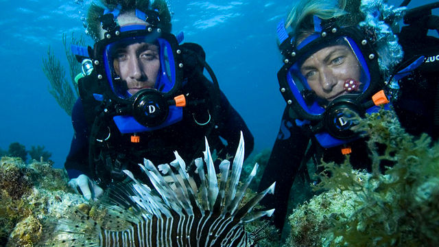 Oceans: Atlantic Ocean