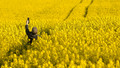 Who Is Kurt Wallander?: Sat, 06 Dec 2008