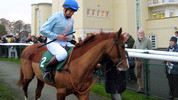 Jumbo to Jockey: Jumbo to Jockey