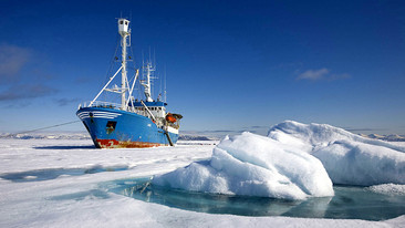 Oceans: Arctic Ocean