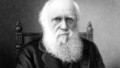Dear Darwin: Episode 1
