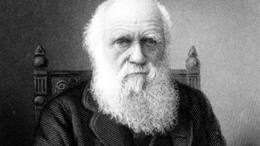 Dear Darwin: Episode 1