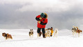 Eight Below: Sat, 27 Dec 2008