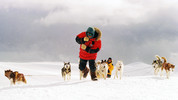 Eight Below: Eight Below