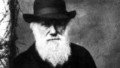Darwin: My Ancestor: Episode 3