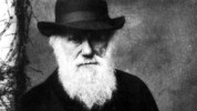 Darwin: My Ancestor: Episode 3
