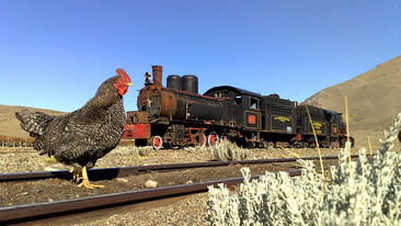 Explore: Patagonia to the Pampas