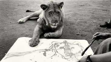 Storyville: 2008-2009: Wild Art: Olly and Suzi Paint Predators