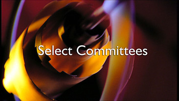 Select Committees: Banking Crisis Committee