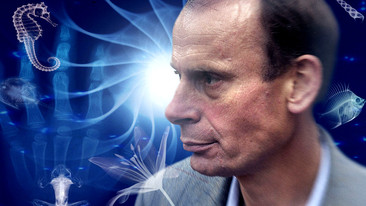Darwin's Dangerous Idea: Life and Death