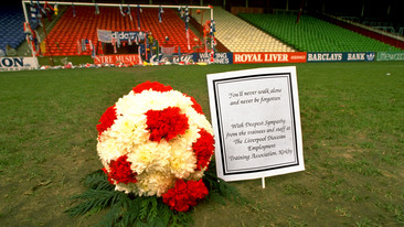 Hillsborough Stories