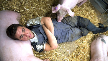 My Life as an Animal: Pigs