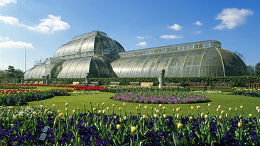 Cruickshank on Kew: The Garden That Changed the World