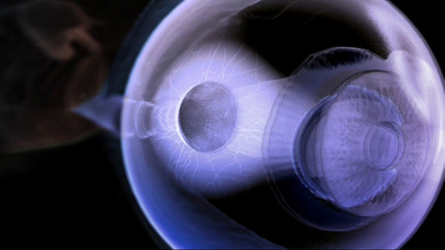 Panorama: Stem Cells and Miracles