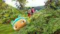 Waybuloo: 5. Snuggly Nest